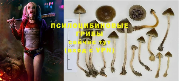 стафф Алзамай