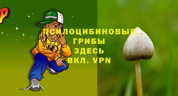 стафф Алзамай