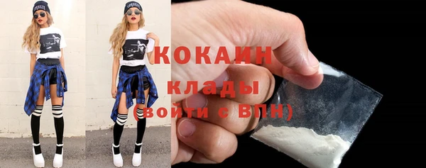 стафф Алзамай