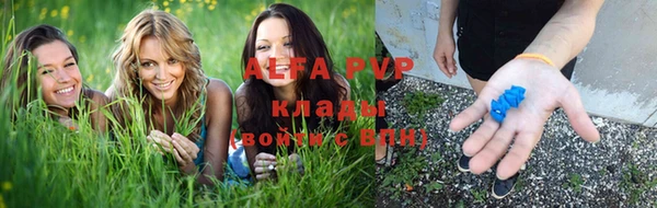 сатива Алексин