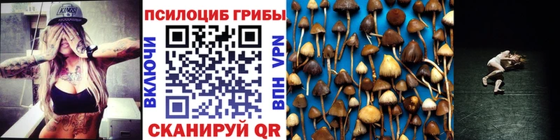 закладка  Луза  Псилоцибиновые грибы прущие грибы 
