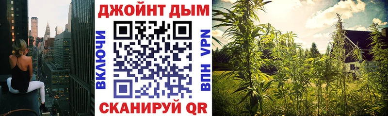 KRAKEN как войти  Луза  Шишки марихуана план 